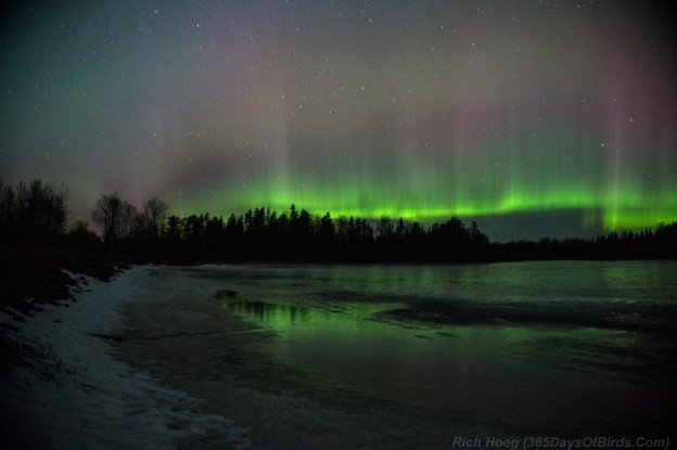 Minnesota Northern Lights Viewing And Photography 