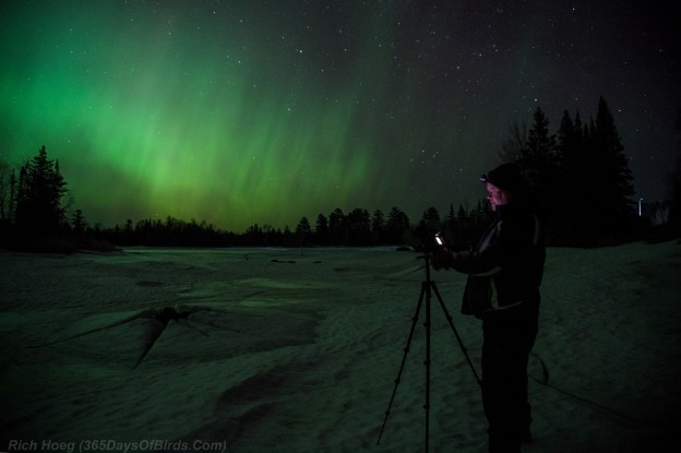 Minnesota Northern Lights Viewing And Photography Days Of Birds