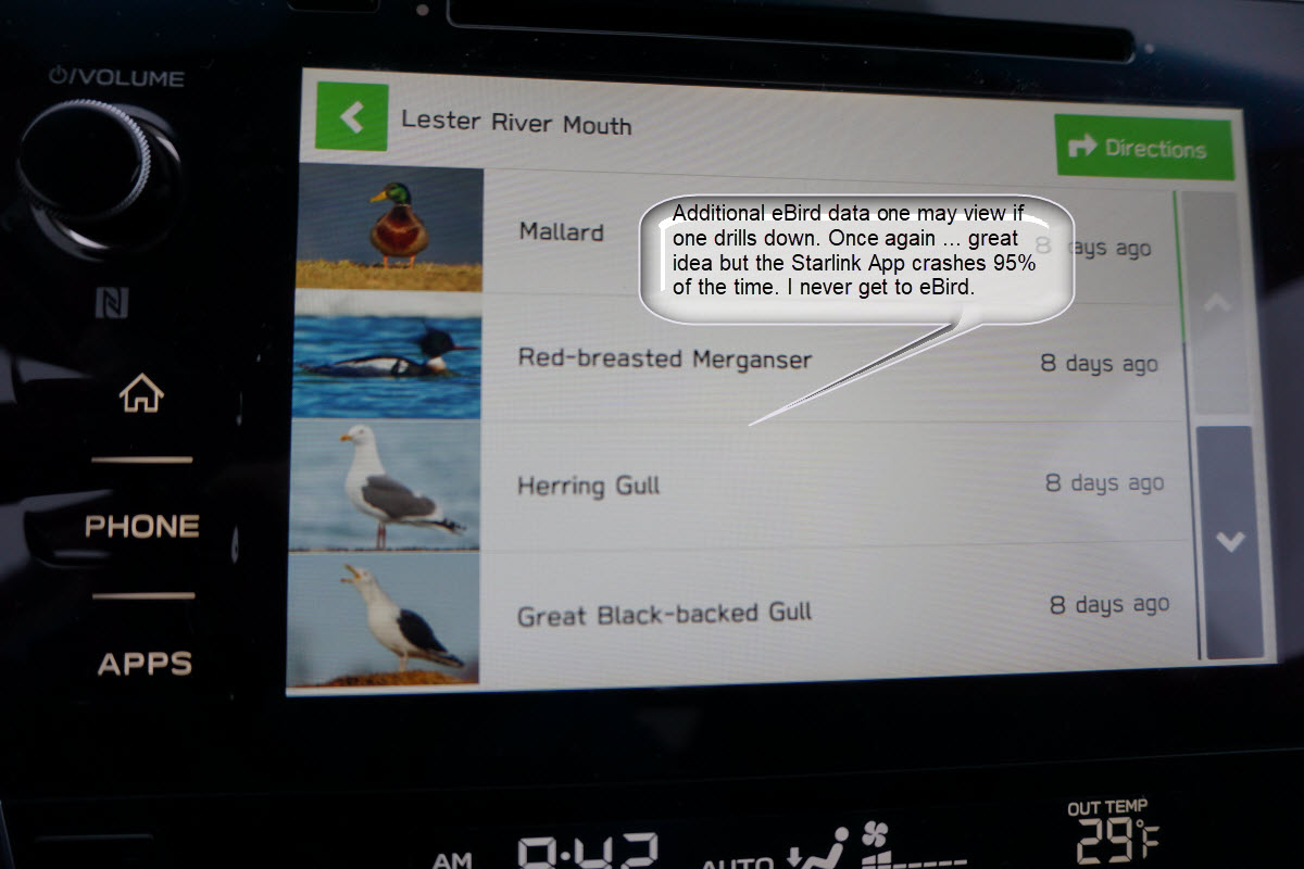 Subaru Starlink App + eBird = Bugs, not Birds | 365 Days ...