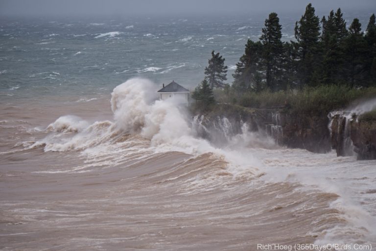 Lake Superior Storm Waves (video) | 365 Days of Birds