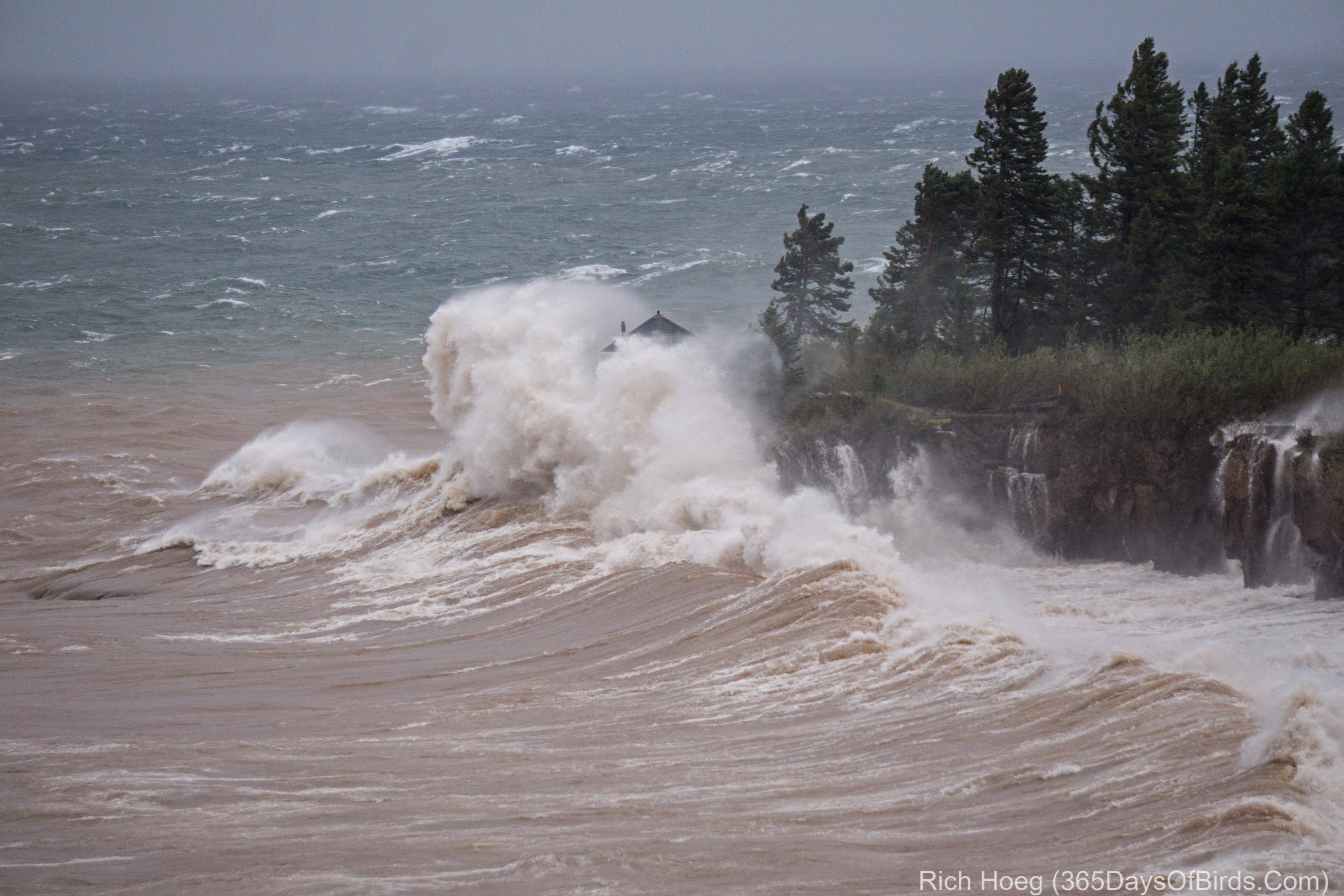 Lake Superior Storm Waves (video) | 365 Days of Birds