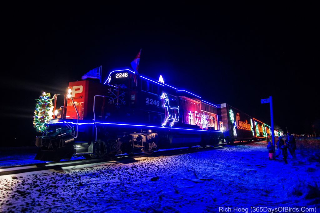 Holiday Train! 365 Days of Birds